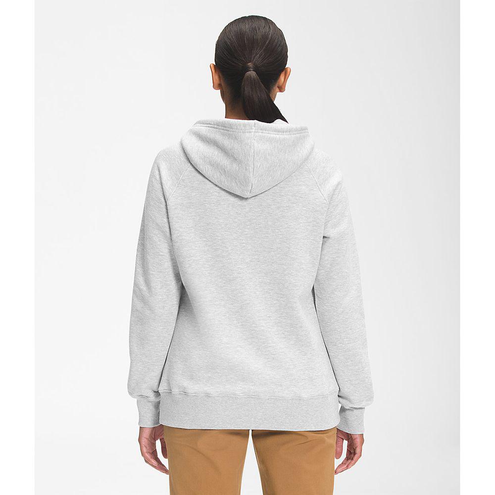 North face hotsell bearscape hoodie womens